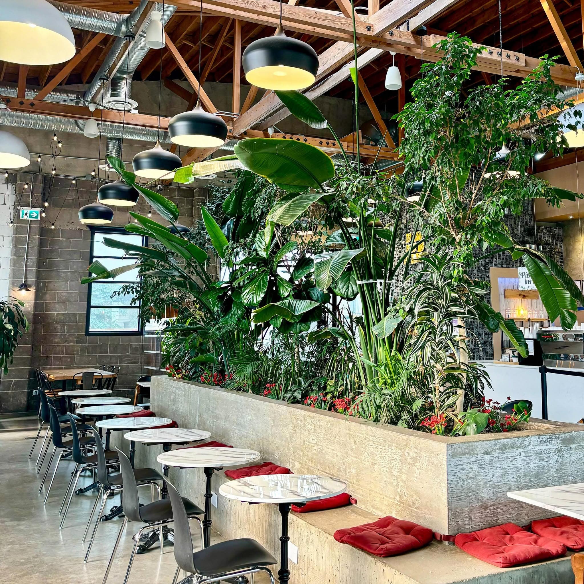 La Bosco Bakery & Cafe - Image 2