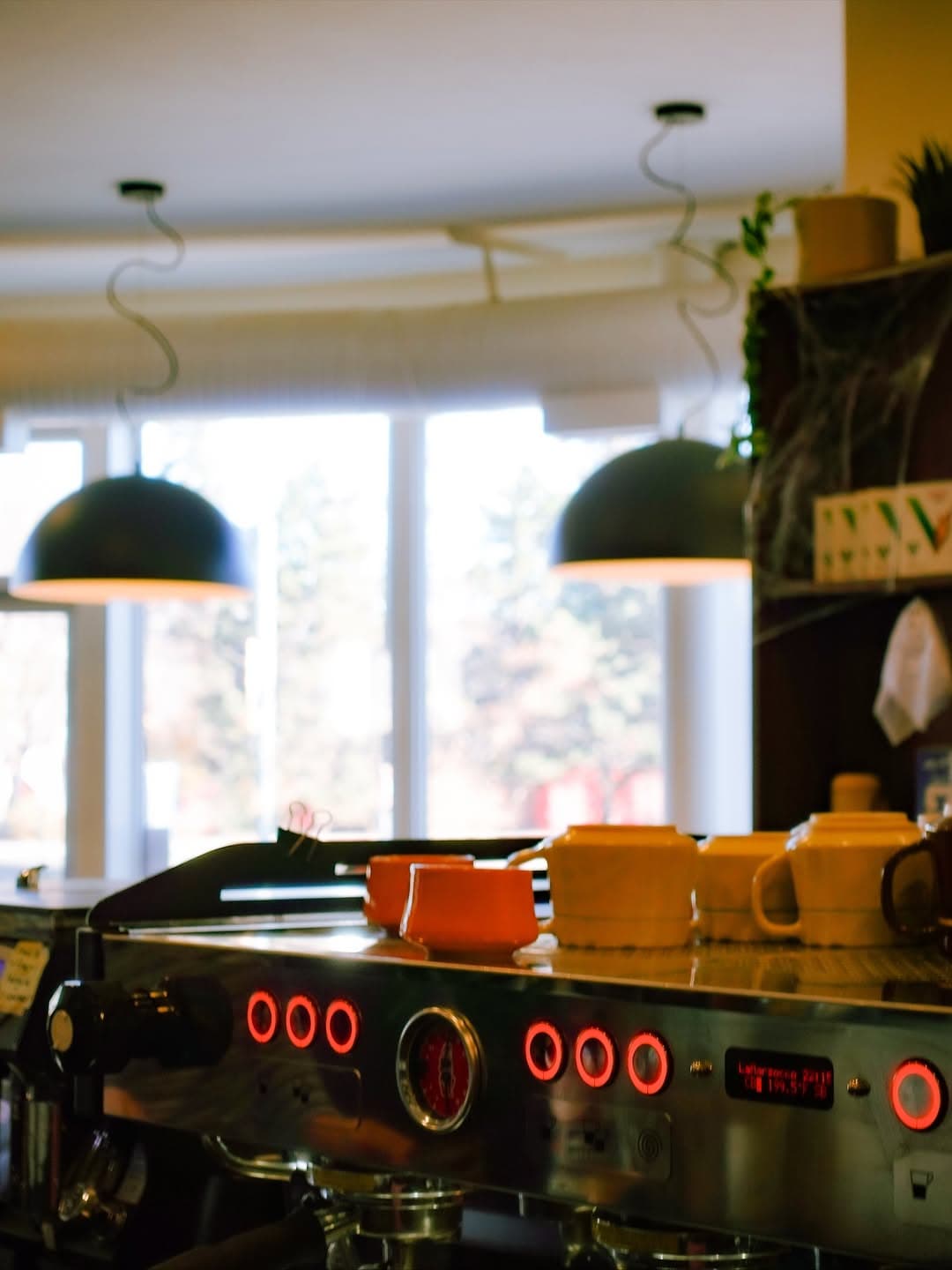 Nuestra Coffee Shop - Image 3